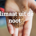 Nieuwe notenbomen in het aanbod: de tamme kastanje en de hazelaar