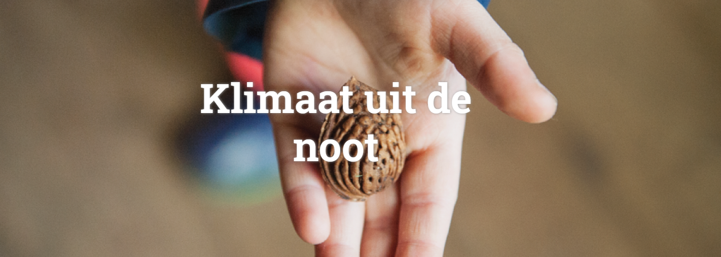 Nieuwe notenbomen in het aanbod: de tamme kastanje en de hazelaar