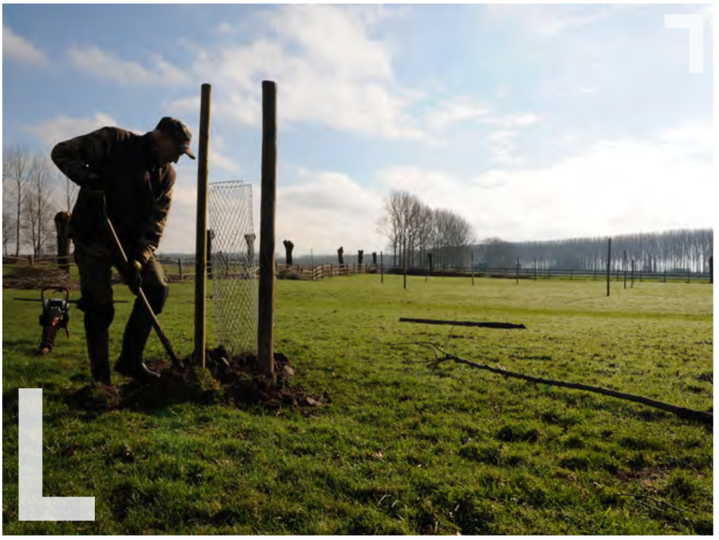 Aanplanten, hoe doe je dat?
